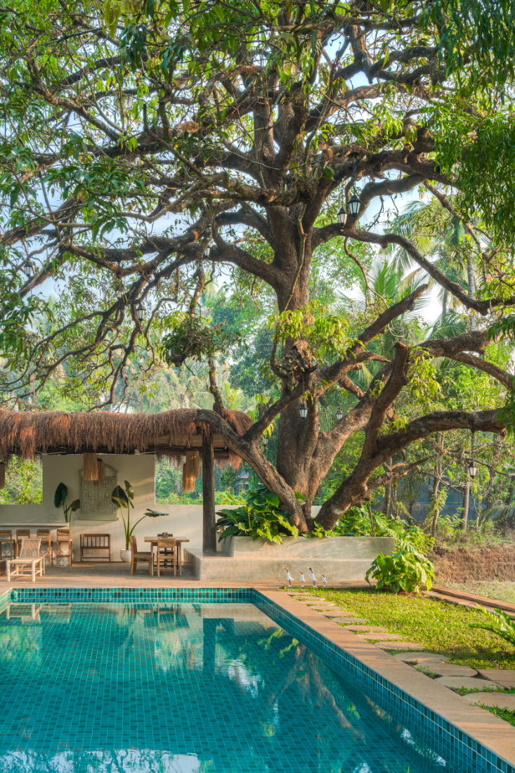 Villa Amger - Luxury private pool Villa Stay in Parra, North Goa